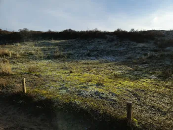 Oostnieuwkerke duinen wandeling in de koude (België)